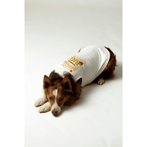 Roupa Pet