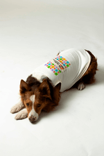 Camiseta Pet Um Dia Branco G
